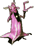 118116.gif